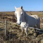 Connemara View Гостевой дом 3*