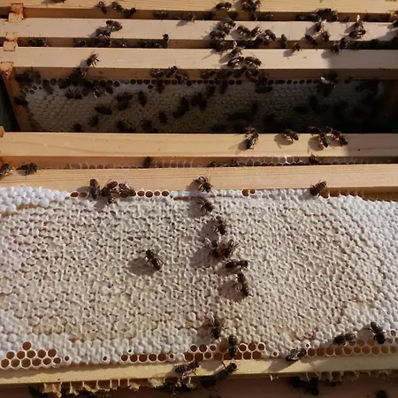 Connemara View Konukevi