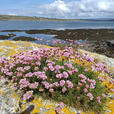 Gasthuis Connemara View