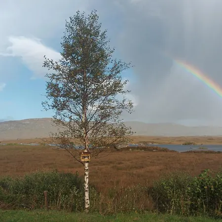 Gasthuis Connemara View
