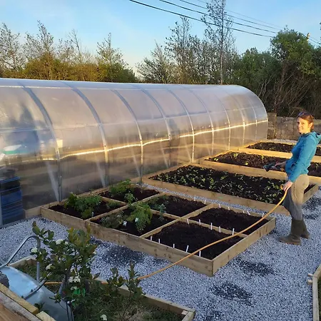 Connemara View Konukevi 3*