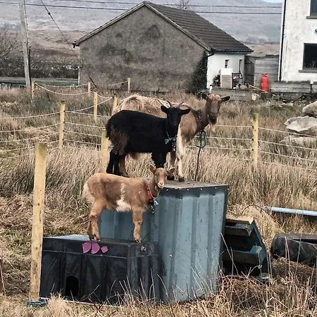 Konukevi Connemara View 3*