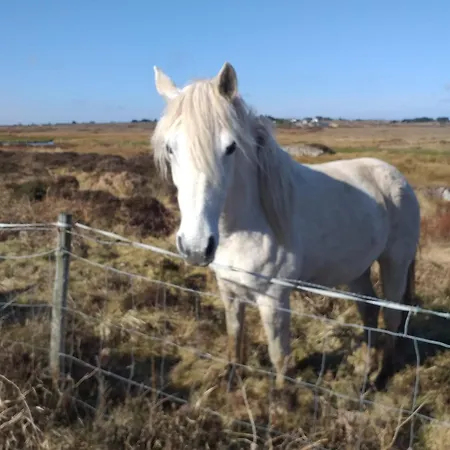 Connemara View Konukevi 3*