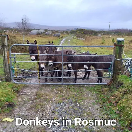 Connemara View 3* Camus Eighter