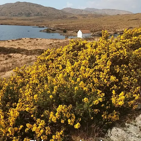 Konukevi Connemara View Camus Eighter