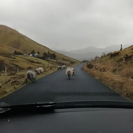 Connemara View Konukevi 3*