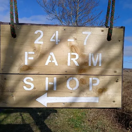 Connemara View Camus Eighter