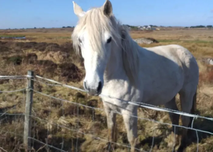 Connemara View Guest house 3*