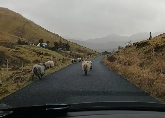 Connemara View Guest house 3*
